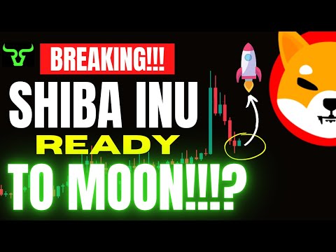 🚨 BREAKING 🚨 - SHIBA INU HOLDERS SHIB IS READY TO MOON!!!?