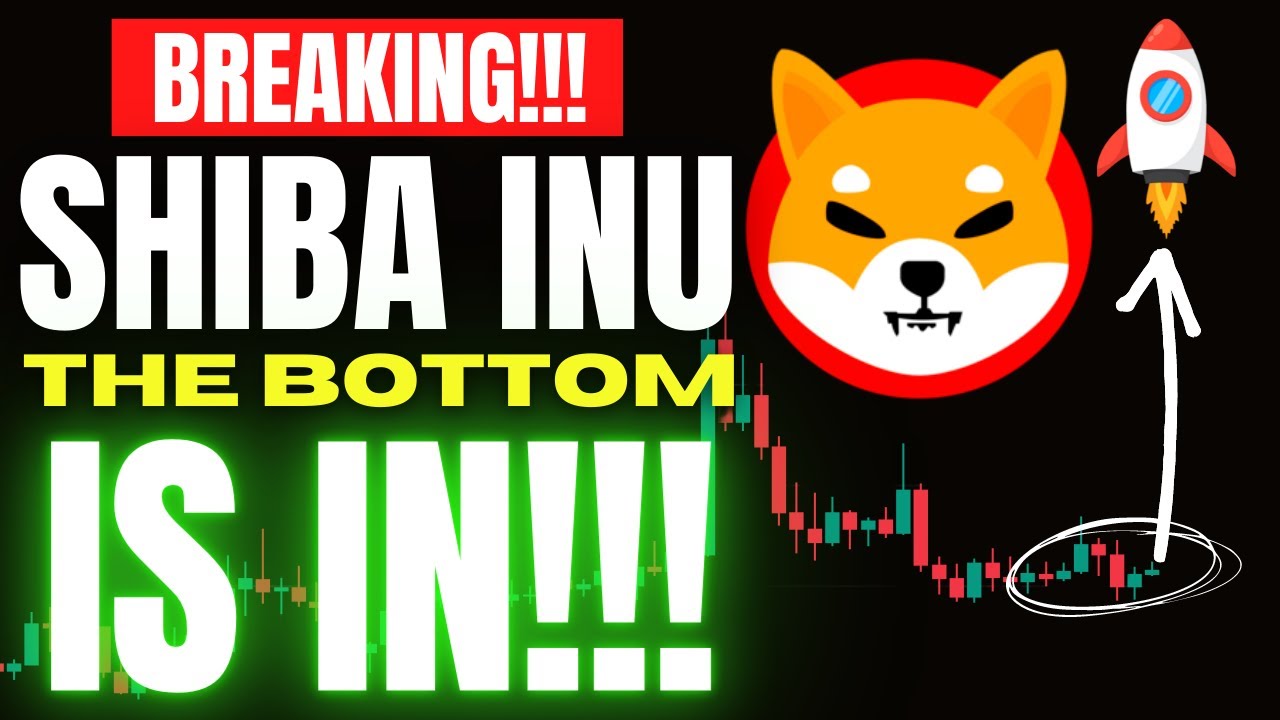 SHIBA INU HOLDERS THE BOTTOM OF THE CRYPTO MARKET IS IN ACCORDING TO LEADING ANALYSTS!!! - Shib