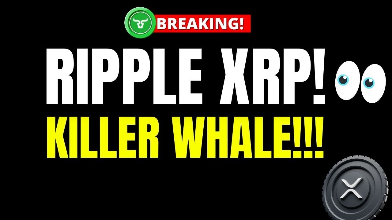 RIPPLE XRP GREAT NEWS🚨!!!  (KILLER WHALES) ARE COMING…