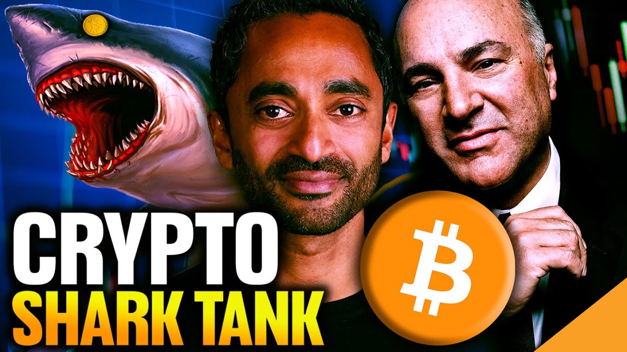 SHOCKING Discovery - Venture Capital Sharks In Crypto