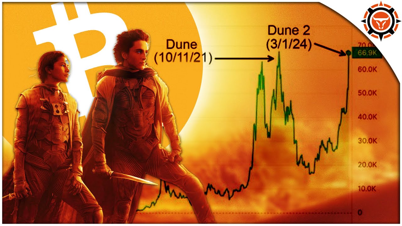 ACT NOW! These 5 Altcoins will PUMP next (ALL TIME HIGHS)