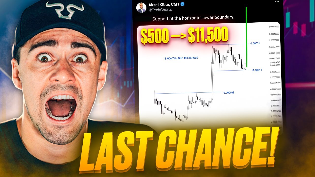 Ripple XRP & FLOKI: Last Chance to Turn $500 into $11,500!? (Breaking Crypto News)