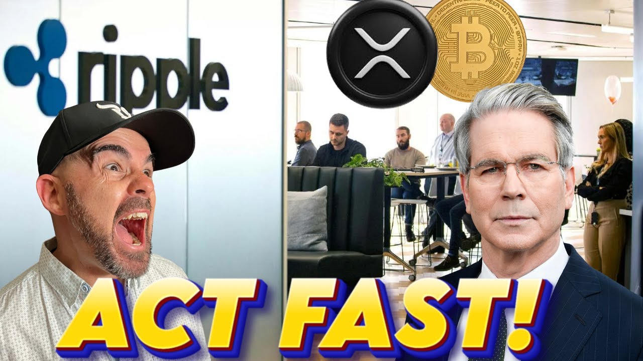 Ripple XRP Holders | XRP WILL OUT PERFORM BITCOIN THIS CYCLE?!