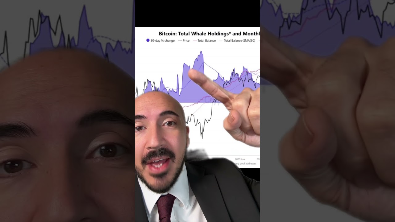 Bitcoin Whales Signal NEXT MOVE