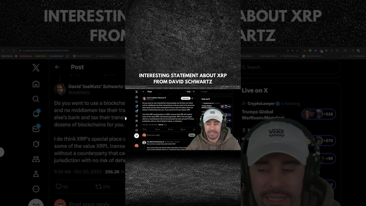 INTERESTING STATEMENT ABOUT XRP FROM DAVID SCHWARTZ?