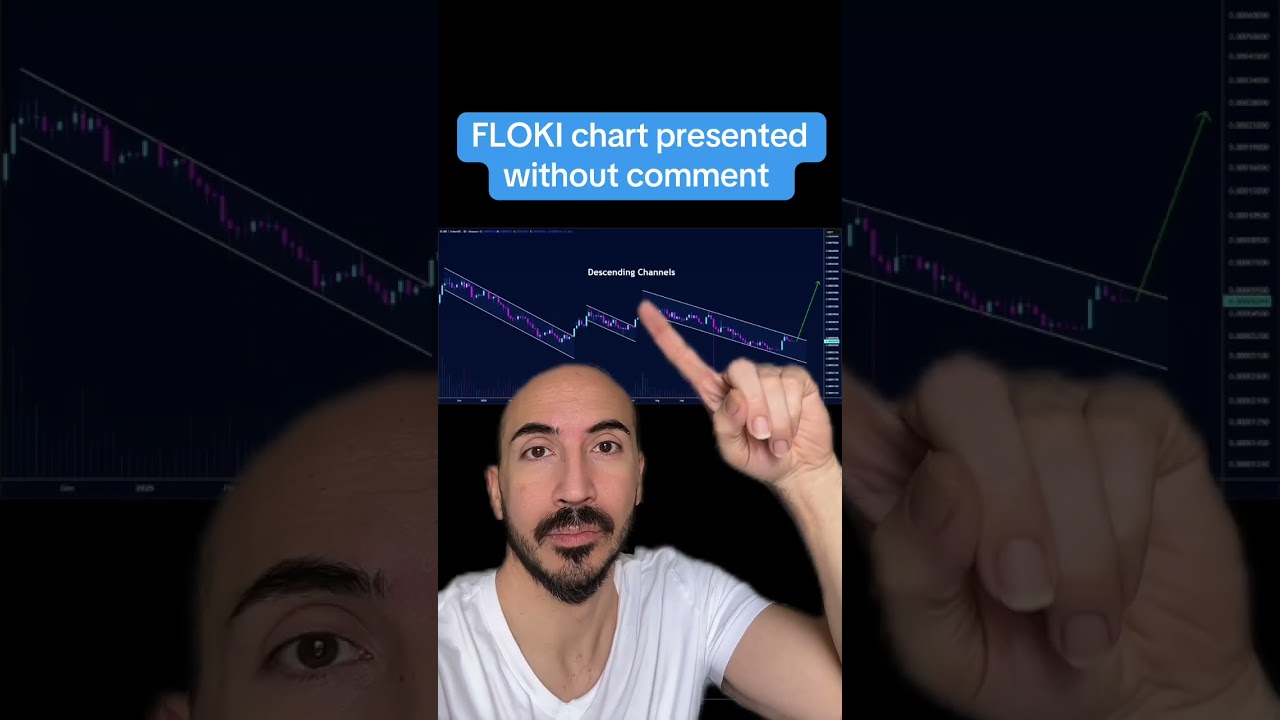 FLOKI CHART (BIG MOVE COMING)