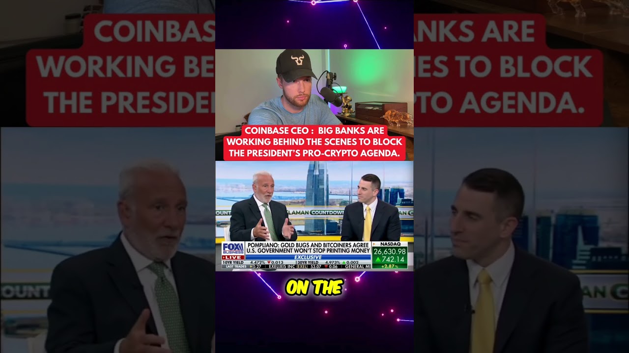 RIPPLE XRP: POMPLIANO JUST ABSOLUTELY DESTROYED  PETER SCHIFF ON NATIONAL TV!