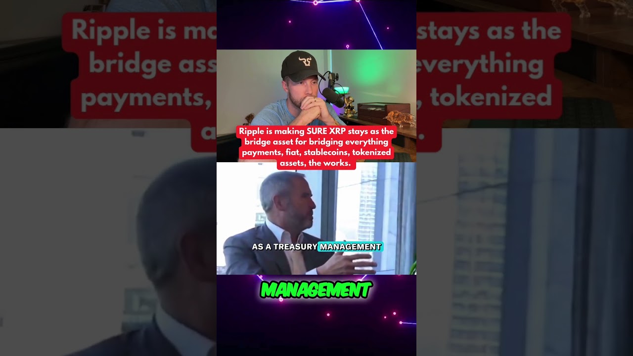 RIPPLE XRP: Brad and Monica Long Admitted This On-Camera About XRP!!?