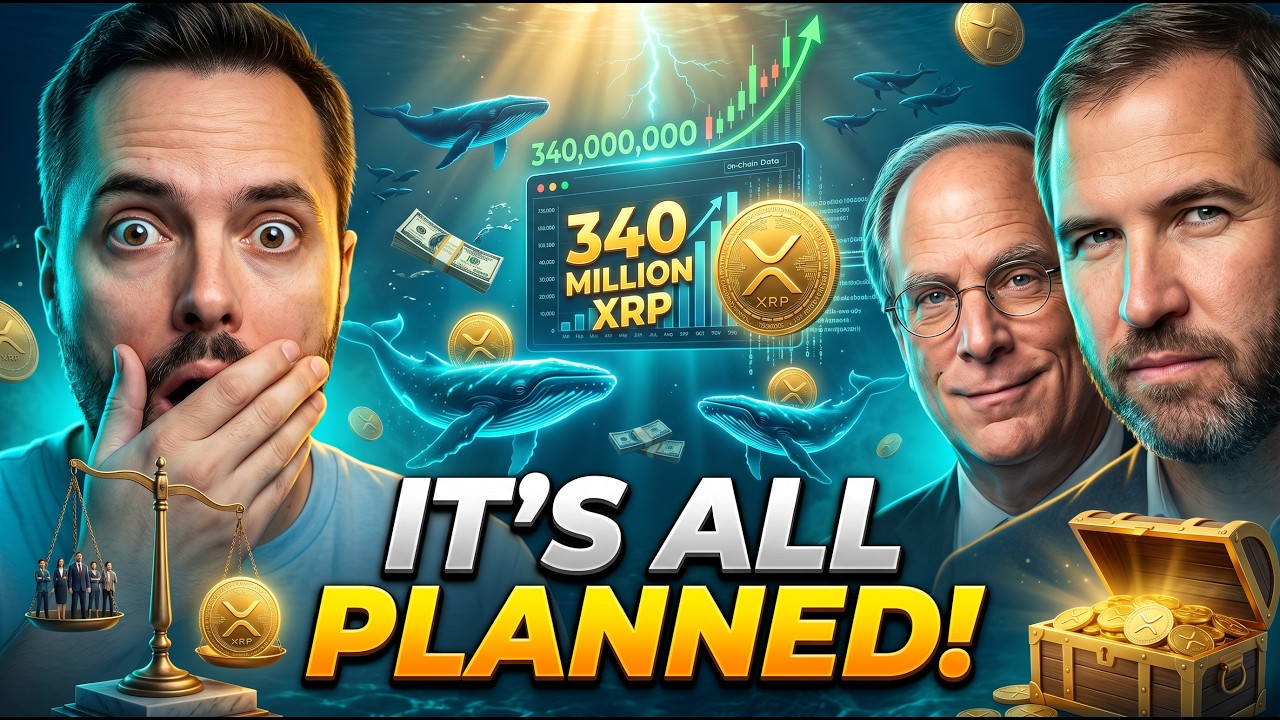 Ripple XRP CONFIRMED: Something Massive Just Happened - Whales Grabbed 340 Million XRP!