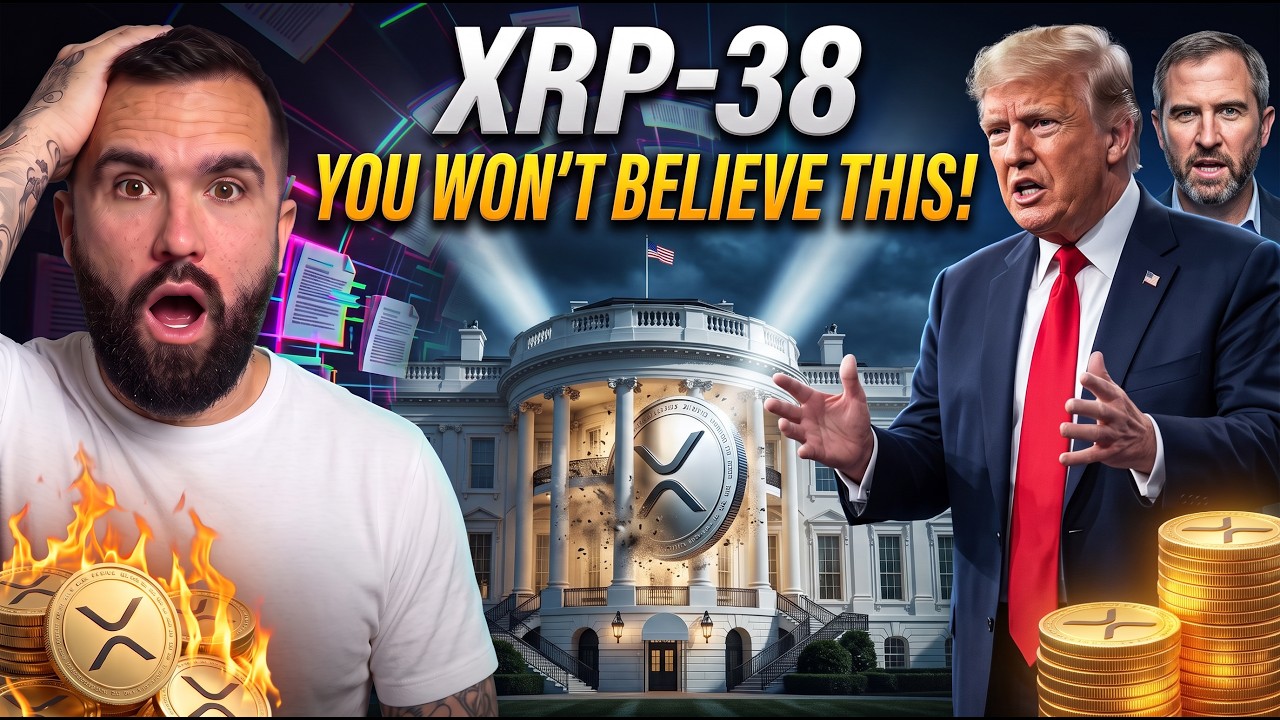 XRP Whales Are Moving: What You Need To Know Now