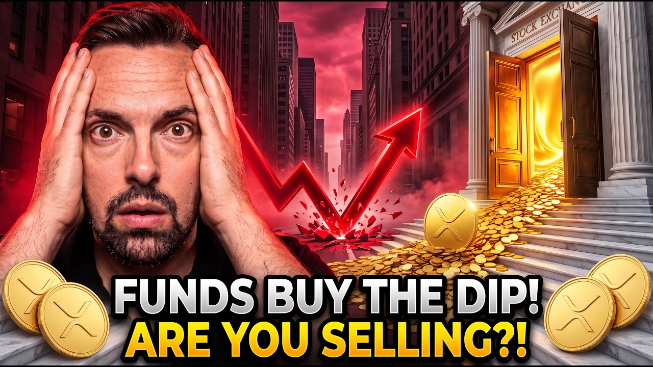 Ripple XRP: Wall Street Bought $22M On A Red Day, And The Seller Is SHOCKING! (WILD CRYPTO NEWS)