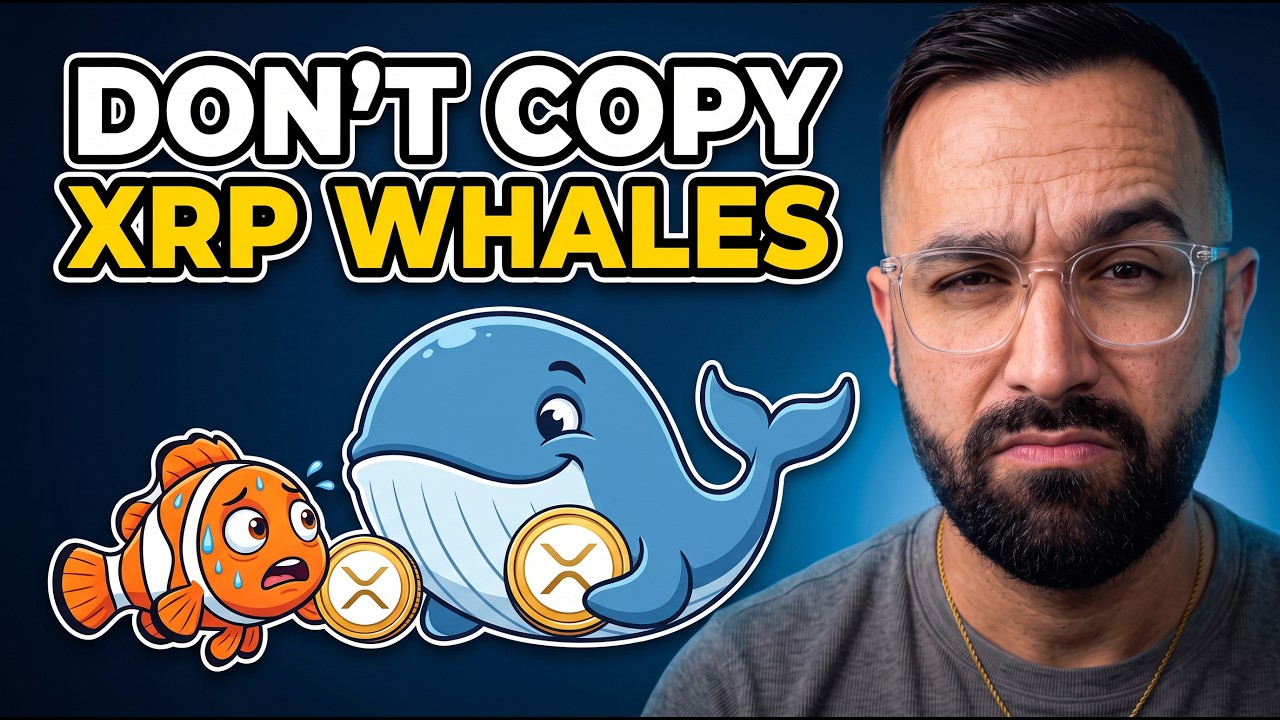XRP Whales Just Bought 1.6 Billion: What You Need To Know